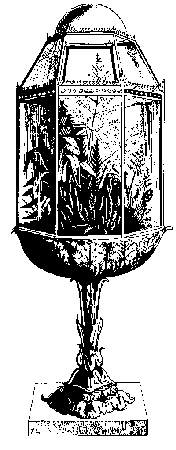 A later version of the Wardian Case, 
designed and built for the domestic market.