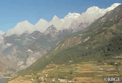 Yulong Xue Shan (Jade Dragon Snow Mountain) from Lijiang plain - Photograph &copy; 2002 Royal Botanic Garden Edinburgh