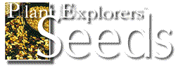PlantExplorers' Seeds