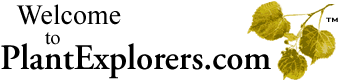 Welcome to PlantExplorers.com